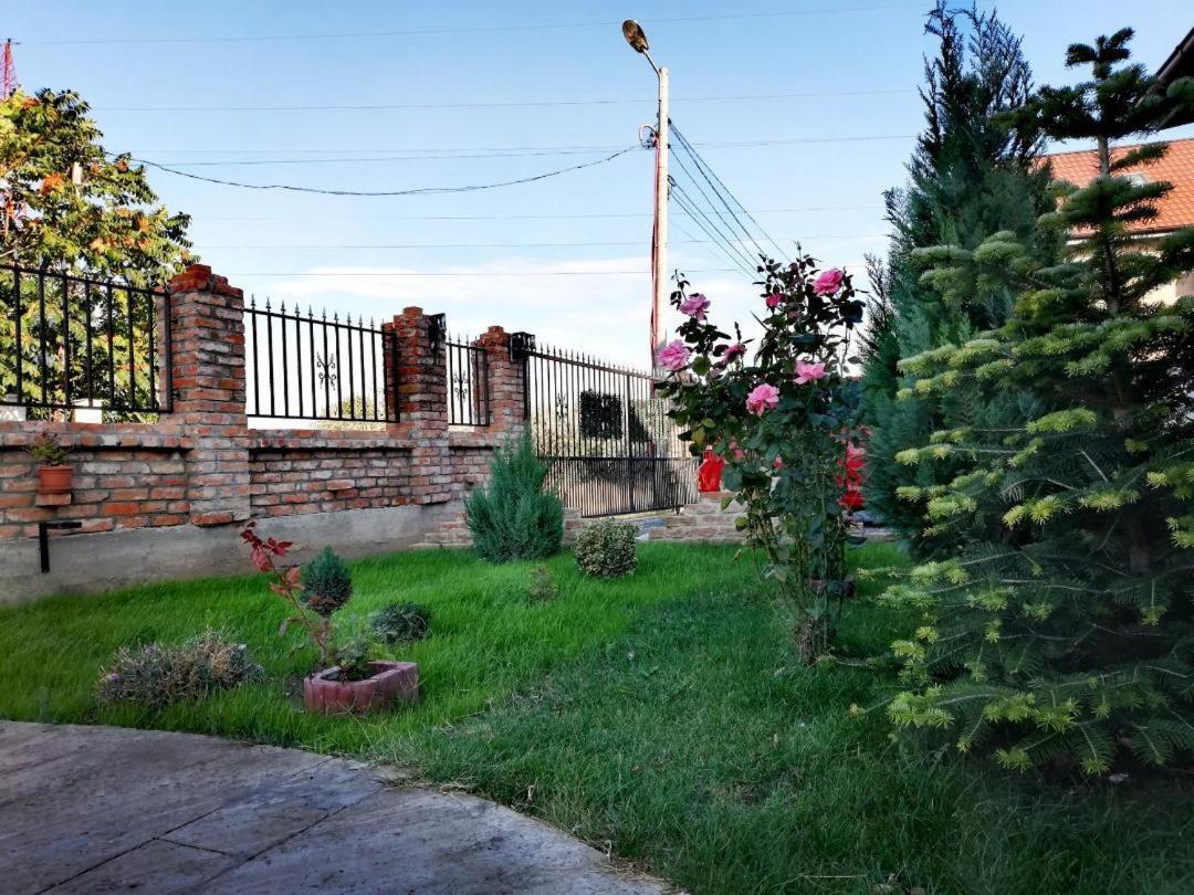 Hotel Casa Alba Năvodari Exterior foto